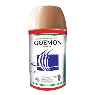 Goemon product