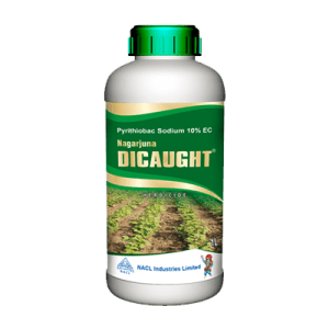 Dicaught product