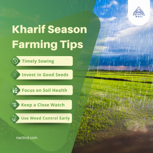 Kharif Season Farming Tips