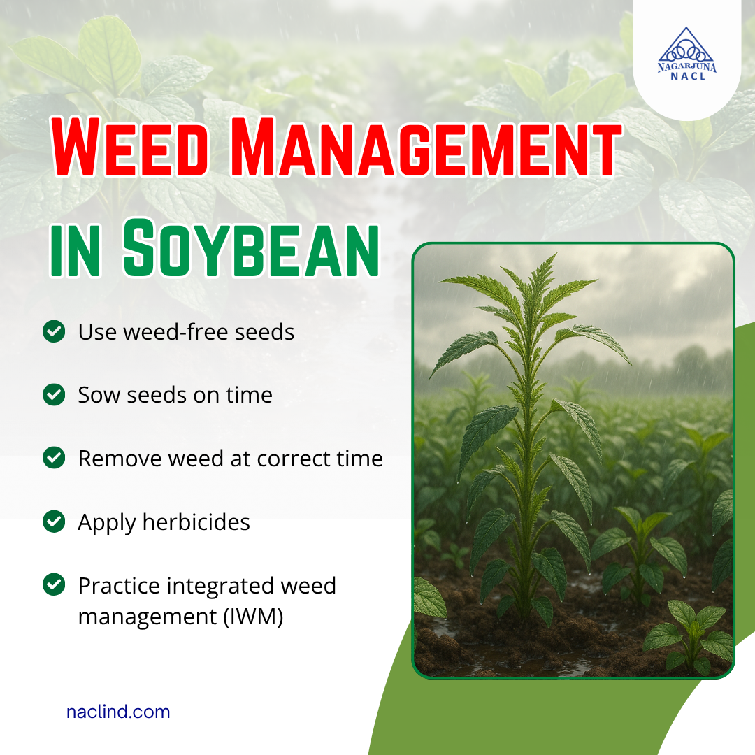 Weed management in soyabean