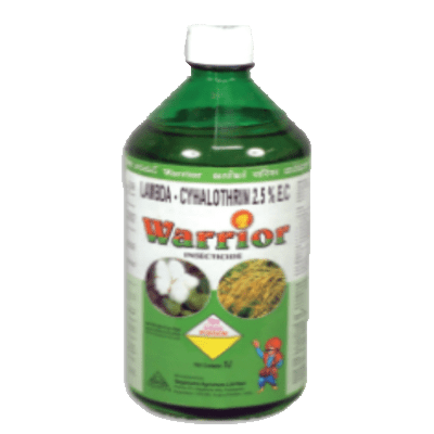 worrior product
