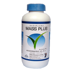 Mass plus product