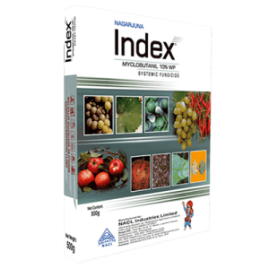 Index product