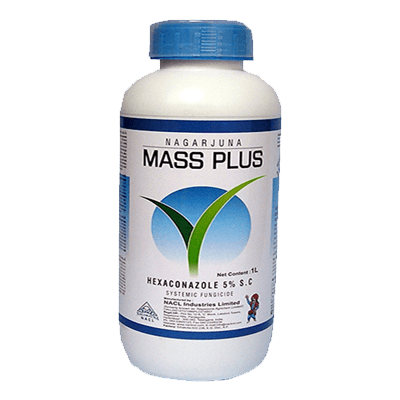 Mass plus product