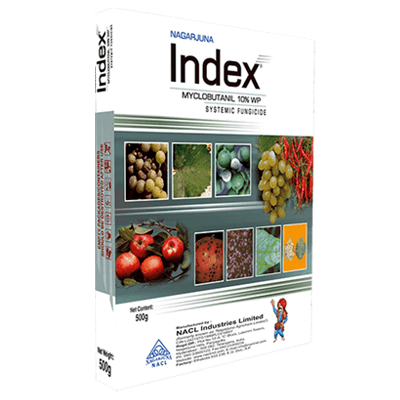 Index product