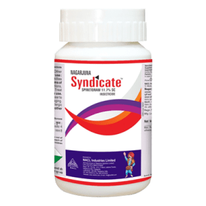 Syndicate Product